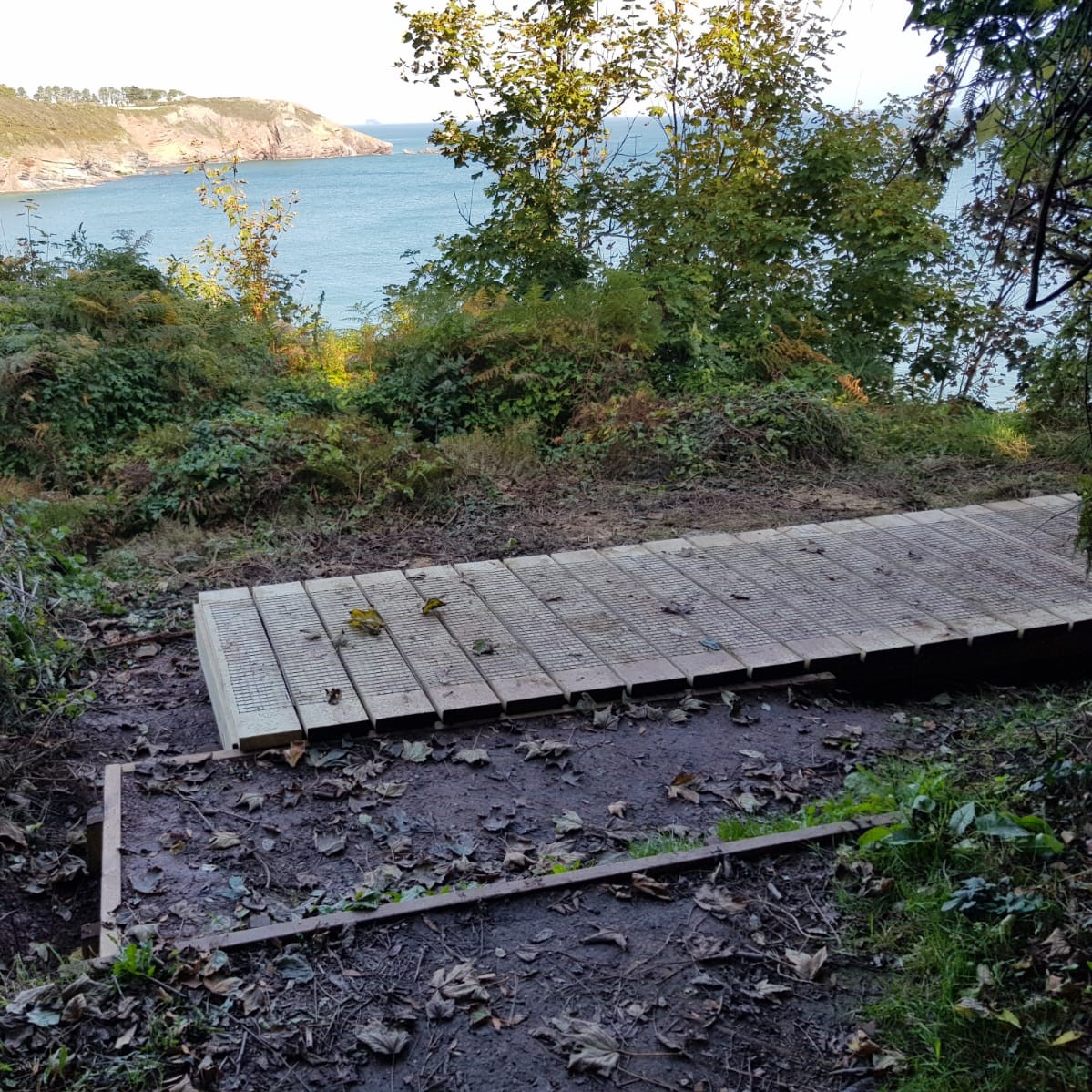 BerryHeadRanger's tweet photo. The Berry Head team and volunteers have done an amazing job of replacing a section of boardwalk near to and above St Mary's Bay, Brixham.

#stmarysbay #brixham #boardwalk #countrysiderangers #footpathmaintenance https://t.co/UB0V8vNY5i