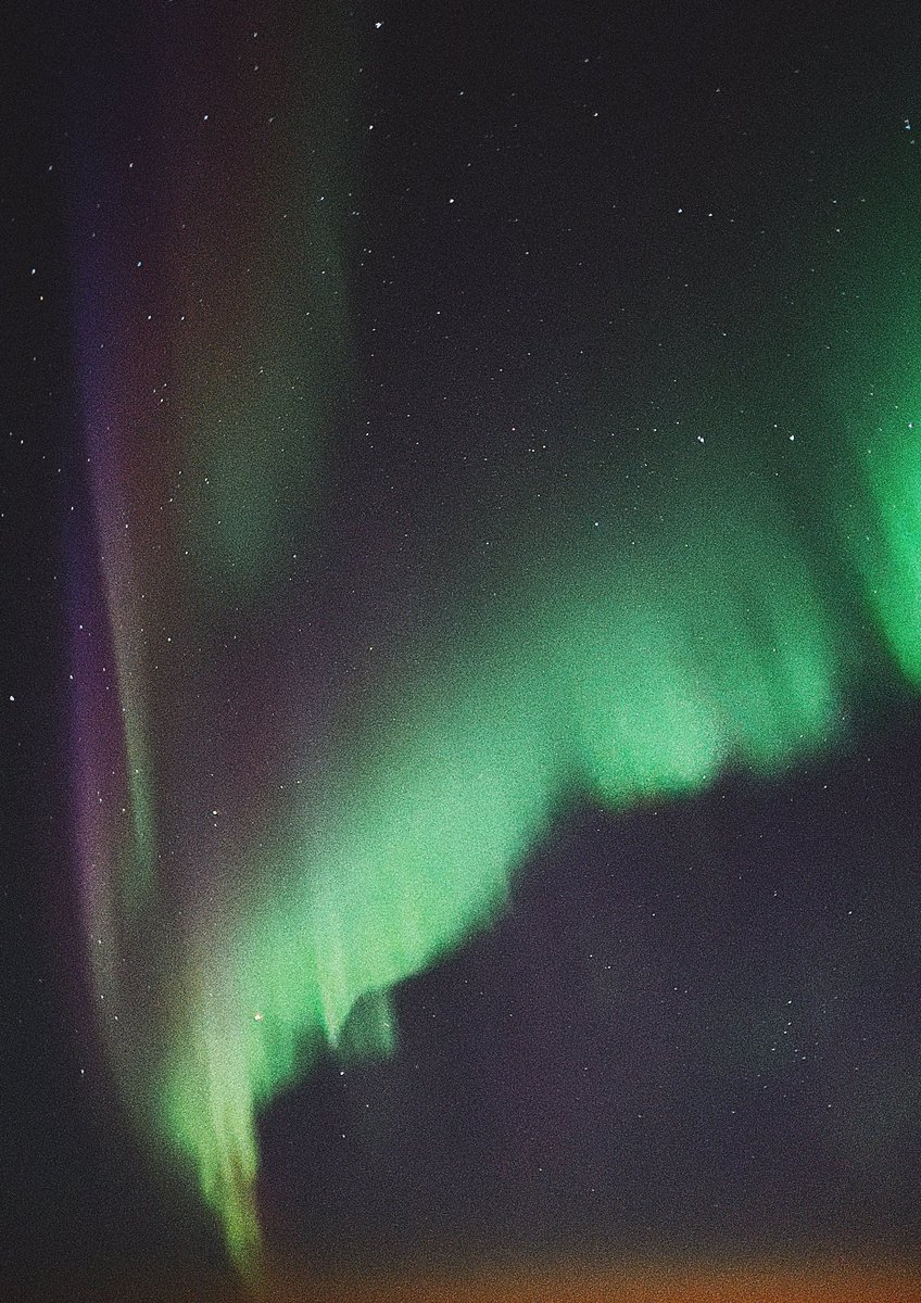 Simon Reif tweet media