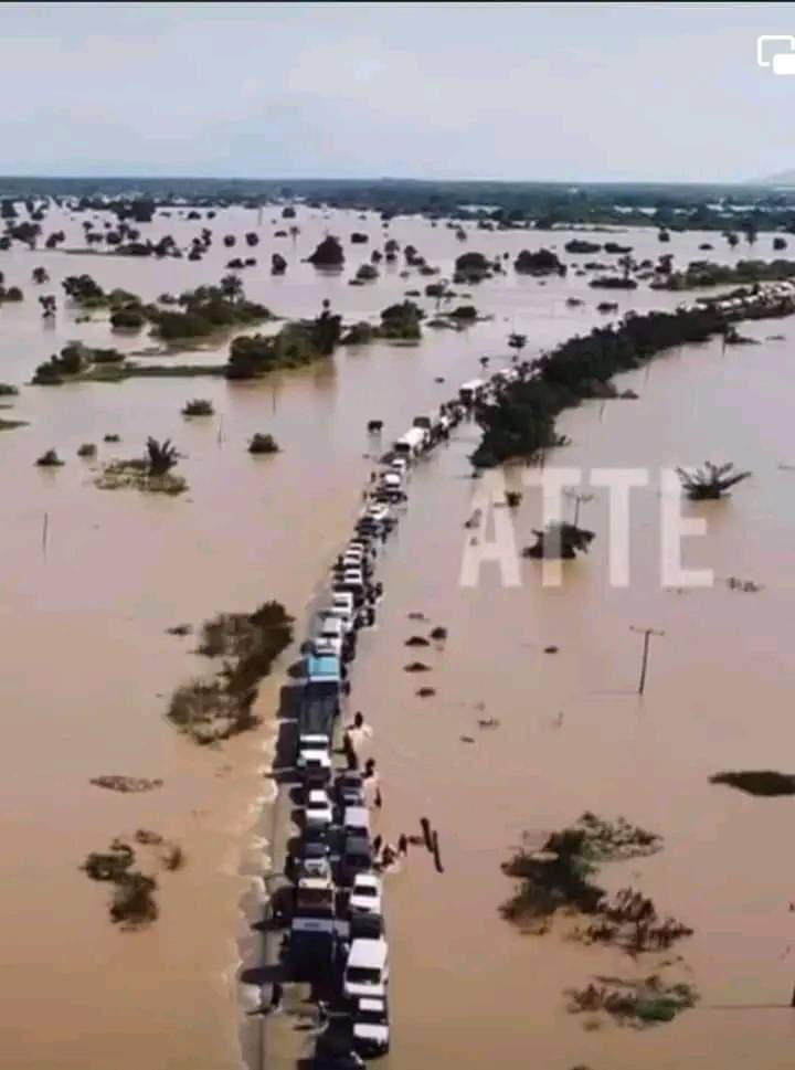 DoOouGzMoNeY's tweet photo. CLIMATE CHANGE IS REAL and there is NO WHERE TO RUN. The effect of climate change will consume us all if we don't THINK OR ACT TOWARD ENVIRONMENTAL SUSTAINABILITY . 

#climatechange
#Enviroment
#OnlyOneEarth
#Letgogreen https://t.co/9MHEH45zTY