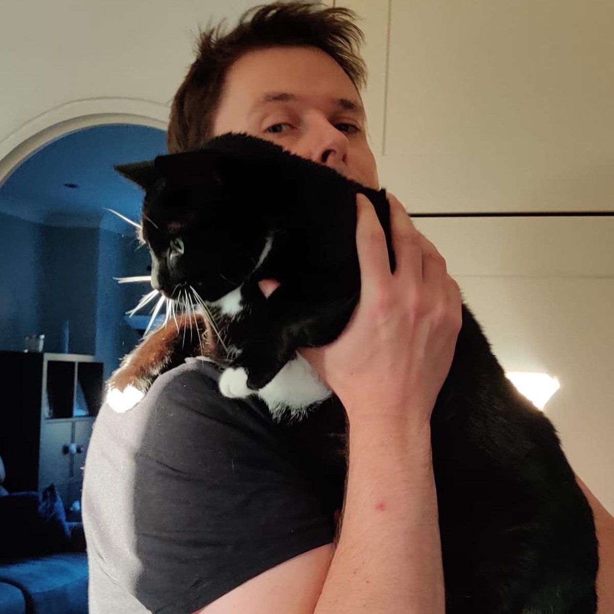 FunSizeSuze's tweet photo. 5 years since we adopted the best cats in the world! We love you, #FaradayCat and #BellatrixCat. Here’s my big pantheroo Faradoodledoo, getting a snuggle or few. We miss you every day, Trixabelle Pumpkin Nose, but you’re always in our hearts. #AdoptDontShop @PawsMcByrndu https://t.co/YMd0JExmMJ