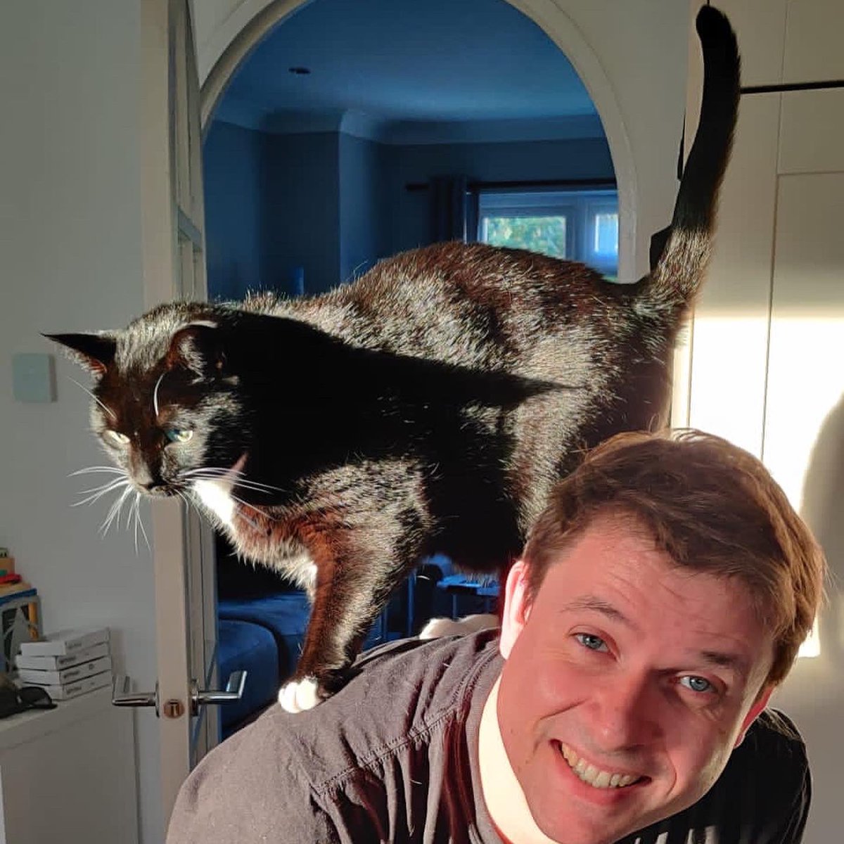 FunSizeSuze's tweet photo. 5 years since we adopted the best cats in the world! We love you, #FaradayCat and #BellatrixCat. Here’s my big pantheroo Faradoodledoo, getting a snuggle or few. We miss you every day, Trixabelle Pumpkin Nose, but you’re always in our hearts. #AdoptDontShop @PawsMcByrndu https://t.co/YMd0JExmMJ