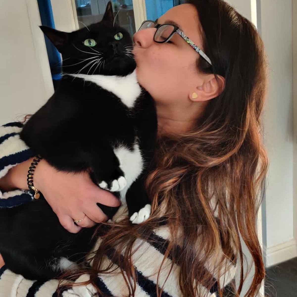 FunSizeSuze's tweet photo. 5 years since we adopted the best cats in the world! We love you, #FaradayCat and #BellatrixCat. Here’s my big pantheroo Faradoodledoo, getting a snuggle or few. We miss you every day, Trixabelle Pumpkin Nose, but you’re always in our hearts. #AdoptDontShop @PawsMcByrndu https://t.co/YMd0JExmMJ