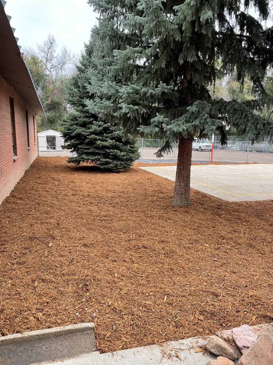 StaffPCA's tweet photo. These awesome Warriors worked extra hard today throwing 20 cubic yards of mulch(that’s a dump truck full) as we beautify our campus through our Service Learning .  Great job! #psdproud #theWarriorWay https://t.co/C5yBJolViK