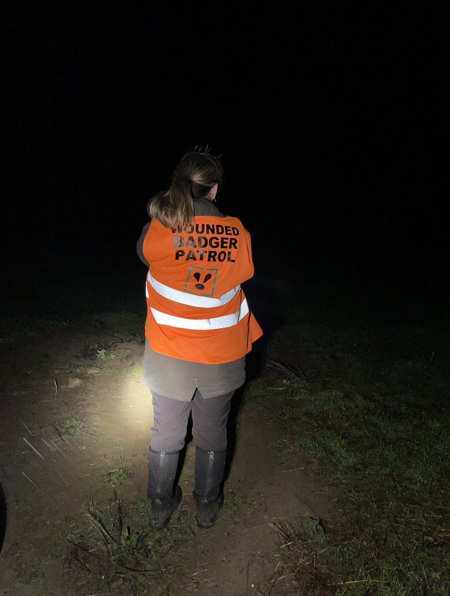 Another night another badger watch #StopTheCull #Shropshire #ToryCorruption