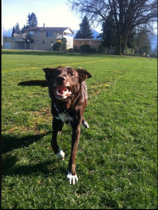 itzxrhino's tweet image. my girls last day, old pic btw lol