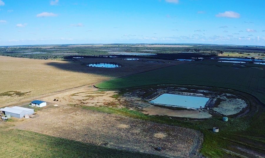 Droned <a href="/JasonSchutz2/">Jason Schutz</a> mowing our hay paddock yesterday. Some good sized rows of vetch/wheat &amp; other wild grasses. Bit of water still lying round in the wetlands too.