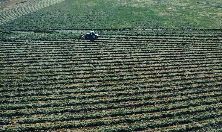 PiggottTash's tweet photo. Droned @JasonSchutz2 mowing our hay paddock yesterday. Some good sized rows of vetch/wheat &amp; other wild grasses. Bit of water still lying round in the wetlands too. https://t.co/dbN33PD2tu
