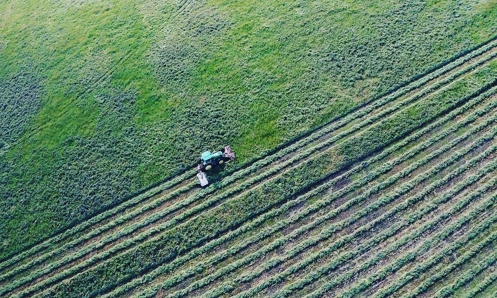 PiggottTash's tweet photo. Droned @JasonSchutz2 mowing our hay paddock yesterday. Some good sized rows of vetch/wheat &amp; other wild grasses. Bit of water still lying round in the wetlands too. https://t.co/dbN33PD2tu