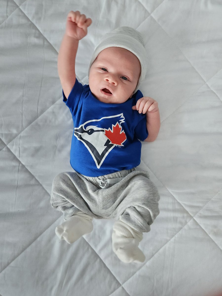 hollinger_t's tweet photo. Go Blue Jays! Let's start a rally.. #BlueJays  #nextlevel https://t.co/HdwwEt0swD