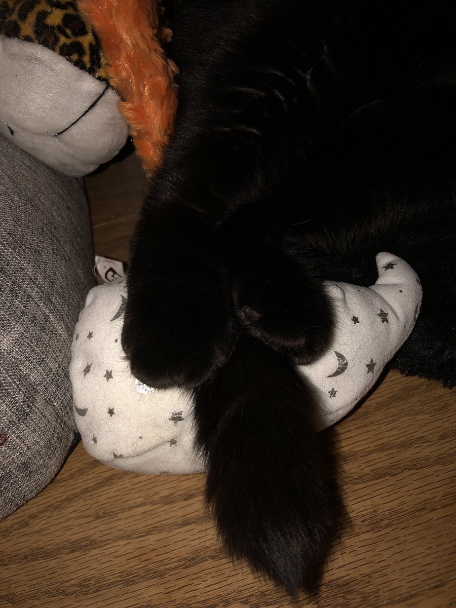 spookothecat's tweet photo. Sleeping on my Halloween throne, my paws using my ghost as a footrest. Living my best spooky life. 👻🐈‍⬛🎃 https://t.co/GKEe9fki5U