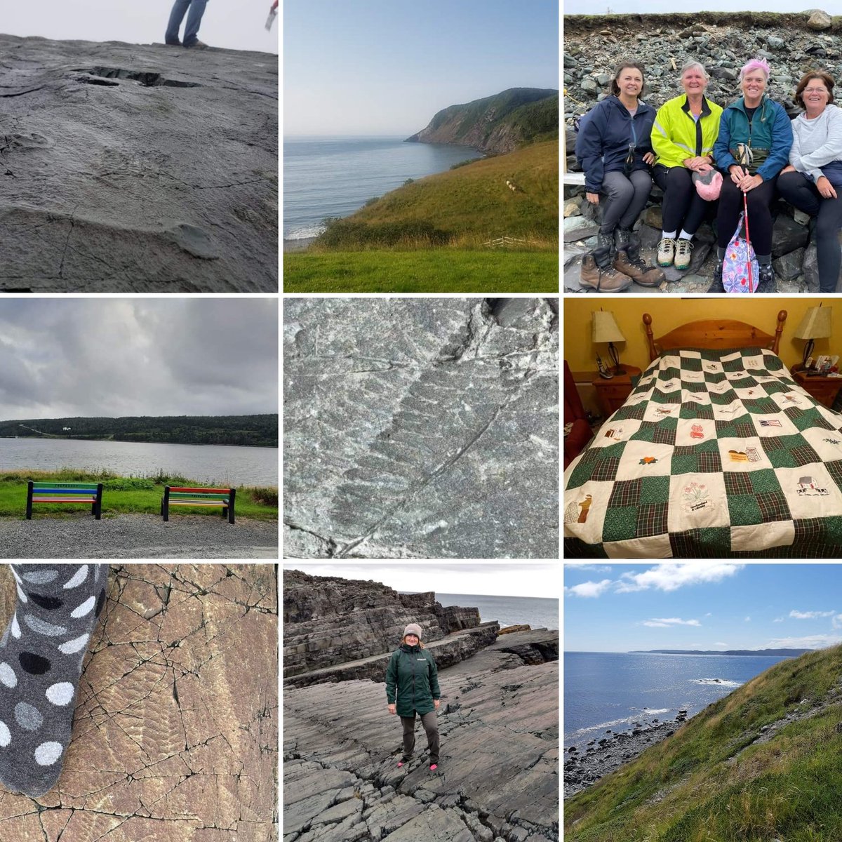 edgeoftheavalon's tweet photo. @the_palaeoninja @edgeofavalon @DiscoveryGEONL @DLowe_Geo @Northernpengirl @CoakerFoundn @munpaleobiology @ediacatherine @sedsnstroms @KDelahooke We love supporting anyone who is as passionate about #Geodiversity as we are! Thanks for the shout out. ♥️ 

All these shots were taken by folks that love this place as much as we do ... 

#geotourism #newfoundlandandlabrador #IrishLoop https://t.co/RIYRhreksN