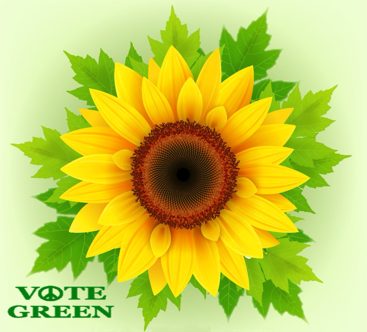 TurboKitty's tweet image. #GreenTwitter
@davegreenidge57
@jockmufc
@chadCANROCKyou
@olaanwar18
@ciphotoau
@BxCountyGP
@Ste16063620
@JavierSorianoNY
@blackwingbear
@jbug0917
@paulnic22257408
@phngluimglw13
@WPFWDC
@JamesMArcher
@DaviUlicer
@Maro2Bear
@Keys1Nathan
@jacobusj1972