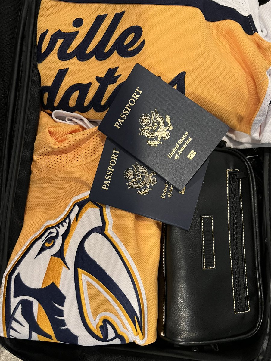 Aljape24's tweet photo. @PredsNHL A great game in a great city.  #NHLGlobalSeries #Prague #Preds #Sharks https://t.co/1IwoStGMyS