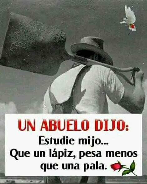 Neit tweet media