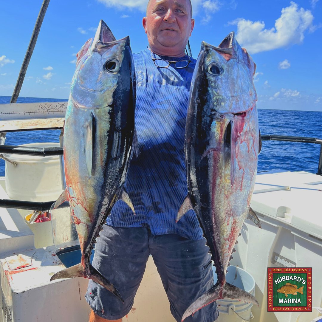 hubbardsmarina's tweet photo. When was your last trip? Fun in the sun awaits!
#HubbardsMarina endless options since 1928
.
.
.
.
.
.
#Florida #JohnsPass #MadeiraBeach #OffshoreFishing #FishingCharter #GatorJimsTackle #BassProShops #ReelAnimals #SaltStrong #Yamaha #EngelCoolers #Garmin https://t.co/1tRpL3TDBC