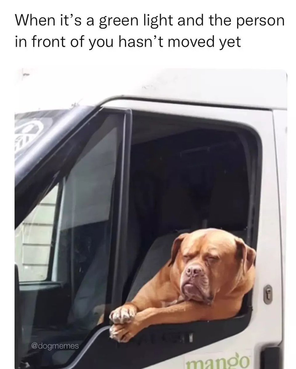thedogline_'s tweet photo. He better move quick π
.
.
Credit : dogmemes
.
. #TheDogLine #australia #dogs #dogsofaustralia #follow #dogsmiles #dogscorner #dogslife #dogsofinstagram #dogsandpals #dogsarelife #dogsarefamily #doglover #dogstagram #dogstar #ilovedogs #instadog #lovedogs #lovepuppies #ins... https://t.co/eXUiSjKjhj