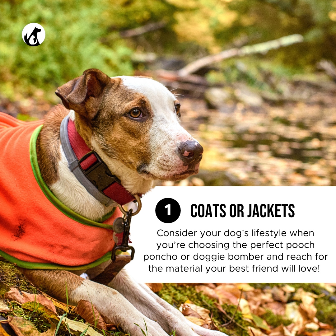 PetHonesty's tweet photo. Thereโs a chill in the air & it means only one thing โ Fall is finally here๐๐พ
To make this season even more enjoyable, make sure youโre prepared!
#spookyseason #doghalloween #falldogs #pethonesty #petsupplements #pets #dogtips #musthavefallitems https://t.co/vIjqLMhIXz
