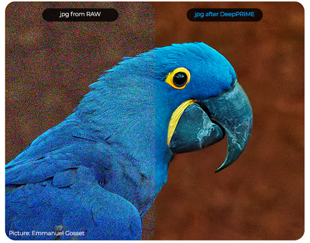 HDVPmag's tweet photo. DxO announces PhotoLab 6: All-in-one raw editor delivers improved image quality, editing tools and photo management - https://t.co/KVdkjnswEd https://t.co/QmMGpW7h7A