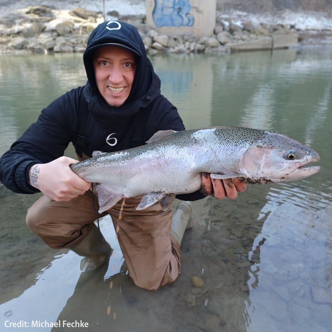 pafishandboat's tweet photo. Michael Fechke, Allegheny County, caught this beautiful steelhead while fishing Elk Creek, Erie County, last winter.

Do you have any great steelhead fishing stories? Reply with your best shots!

#fishfriday #fishpa #pasteelhead https://t.co/0zX7ce1KSM