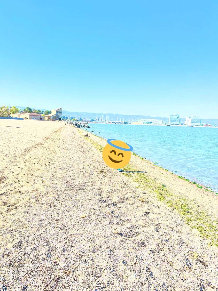 Rin1m2's tweet photo. #駐在妻　12日目
またもや #Coyotepoint にいってきたよー😆✨早くCuriOdysseyの年パス買わねば🕺🕺海で走りまくって遊びまくってBestなStone🪨拾って帰ってきた😂
lunchは昨日ニジヤで買った森永のホットケーキ🥞めちゃ食べて爆睡🙆‍♀️やはり森永強し。 https://t.co/HIAgnDVXsI