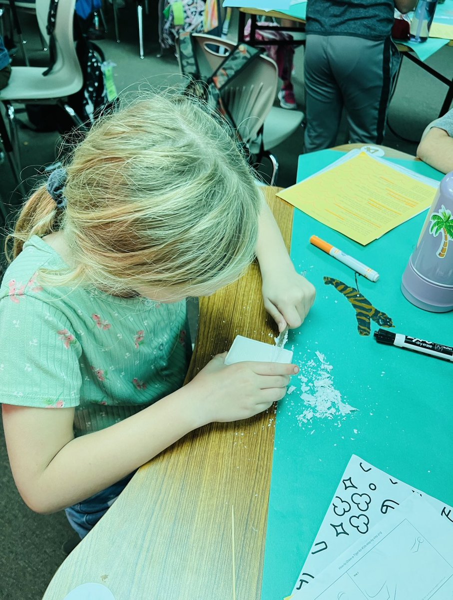 Today we celebrated our read aloud for our Interpreting Characters unit, The Tiger Rising. We talked about items of symbolism from the book, reviewed the plot and characters through an Escape Room, and practiced our whittling skills. #AceCubs