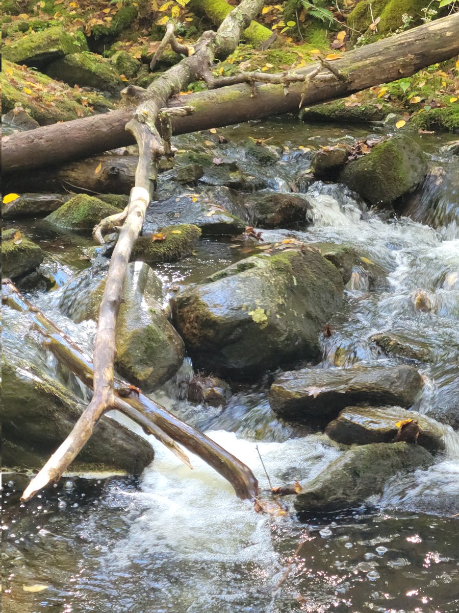 Gkalner's tweet photo. 50 miles in 2 months starts off with some challenging scrambles..got some help from friends #MyAdventureChallenge #Fall50Challenge https://t.co/mX2I6tof0q