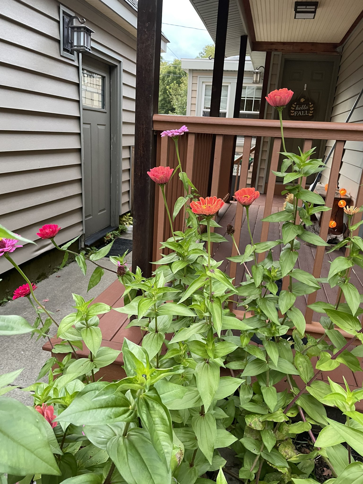 Allyson Dahlin📻👾 CAKE EATER On Sale Now (ally_dahlin) / Twitter