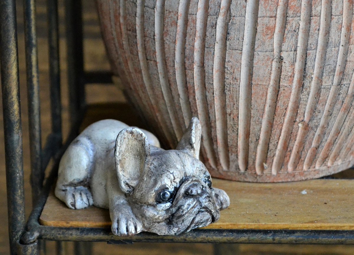 Pugnaciousperf1's tweet photo. #etsy shop: French bulldog figurine, Frenchie lover gift, Creme Frenchie statue, Christmas gift for best friend, Office dog decor https://t.co/kHmFacE1dY #christmas #frenchbulldog #frenchiemom #frenchiegift #whitedog #frenchiestatue #officedecoration #christmasgift #g https://t.co/jdU7H2o7Vx