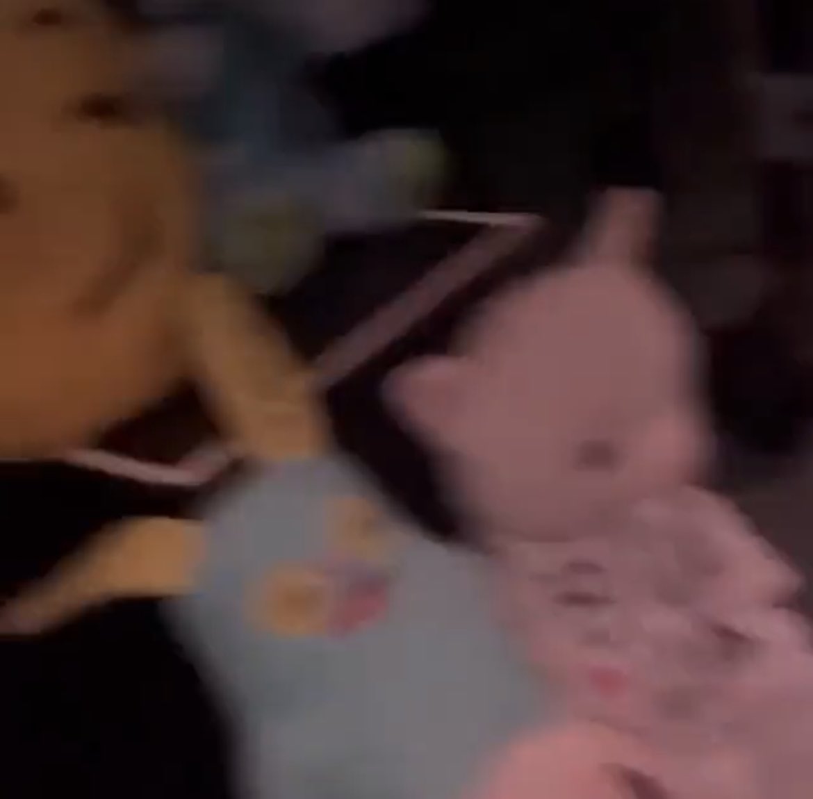 powerisntpain's tweet photo. SHE HAS AN AUDIENCE OF STUFFED ANIMALS THAT WATCH HER GO ON STAGE ARE YOU KIDDING ME https://t.co/Gf1E9cWCJy