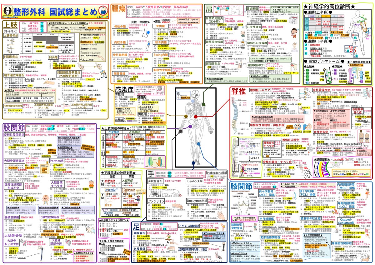 整形外科 国試総まとめ】 整形外科を実習や国試対策の参考になるよう