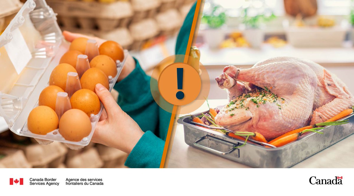 Crossing the border this Thanksgiving weekend for some shopping? Before you go, get informed about the restrictions on bringing poultry – including a turkey, eggs, and/or chicken – into Canada: ow.ly/8t0u50L4Gn1 #AvianInfluenza #BirdFlu #KnowBeforeYouGo