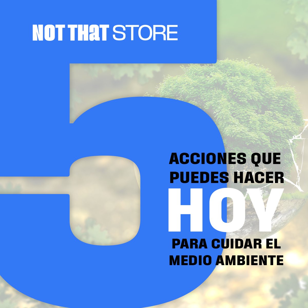 NotThatStore's tweet photo. Para que las futuras generaciones disfruten de este mundo, así como lo hemos disfrutado nosotros, te dejamos estos 5 tips, pequeños, pero potentes para cuidar del medio ambiente #cuidandoelmundo #medioambiente #sostenibles https://t.co/ue1Hts3H3E
