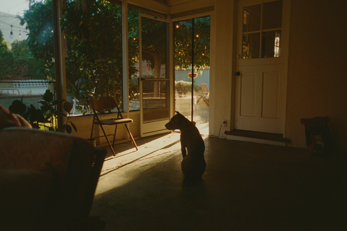 johnnyhomemovie's tweet image. Point and shoot photos i took inside my home