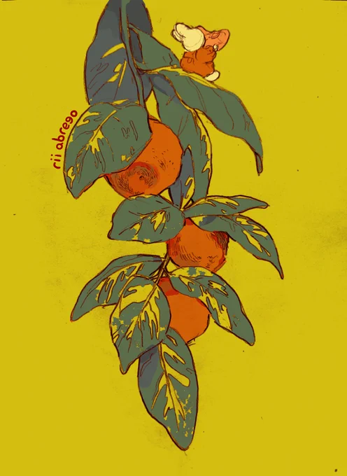 taste of orange at the edge of fall 