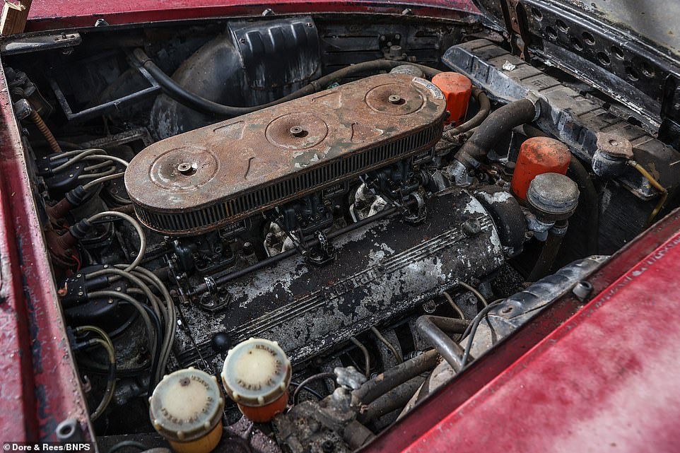 TheNorskaPaul's tweet photo. A dilapidated classic Ferrari is at auction Saturday & expected to achieve £70k at ##DoreandRees
The very rare 1964 #Ferrari330 GT 2+2 Series 1 is one of only 36 right hand drive models ever built & imported to UK almost 60 years ago & restored could easily sell £250k 🤷♂️😳 https://t.co/K2BH3n4QoK