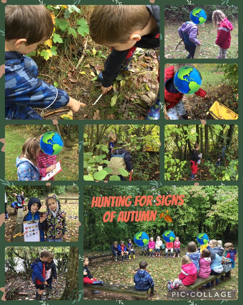 We loved hunting for signs of Autumn during our outdoor learning this week! <a href="/CrossAshSTEM/">Cross Ash STEM</a> <a href="/CrossAshHW/">Cross Ash Health and Well-being</a> #Autumn #OutdoorLearning
