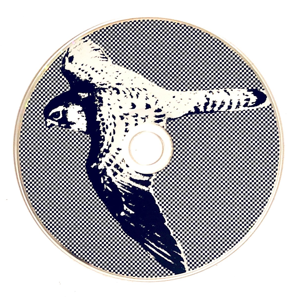DebtOffensive's tweet photo. This is out today. If you love @NightCourtPunk but hate cassettes and love CDs (?) you can now get all/most of their recorded output to date in one handy spot, for cheap (?)! 

https://t.co/9MlAn9rYyZ https://t.co/WxuVAbF4cc