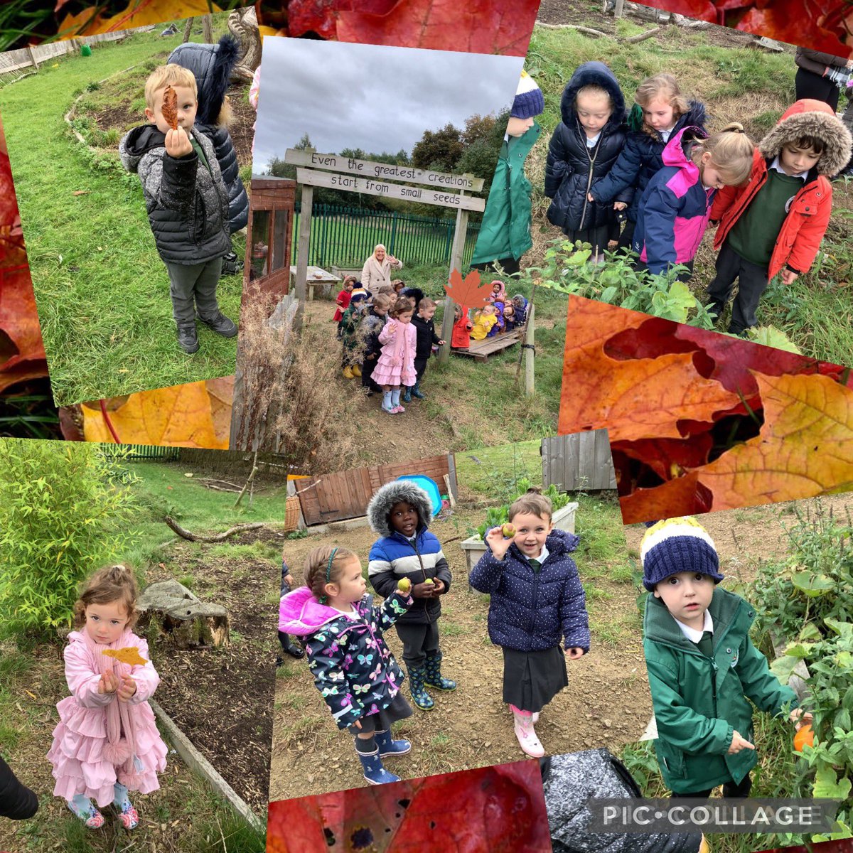 Nursery had a fantastic time exploring #GodsWonderfulWorld 🌍 We looked for all the different signs of autumn 🍁🍂 and we were amazed by all the beautiful things we found @mrspEYFS #sjsbRE #UnderstandingTheWorld #sjsbEYFS