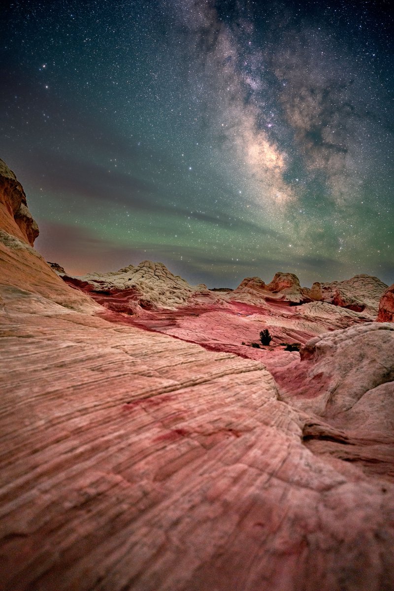 dresticHaus's tweet photo. had to repost so it uploads in FULL RES 

LOAD IT 4K AND ZOOM IN 🚨🚨🚨🚨🚨 🌌🌌🌌🌌

Milky Way over White Pockets, AZ https://t.co/Cy06pBM1y7