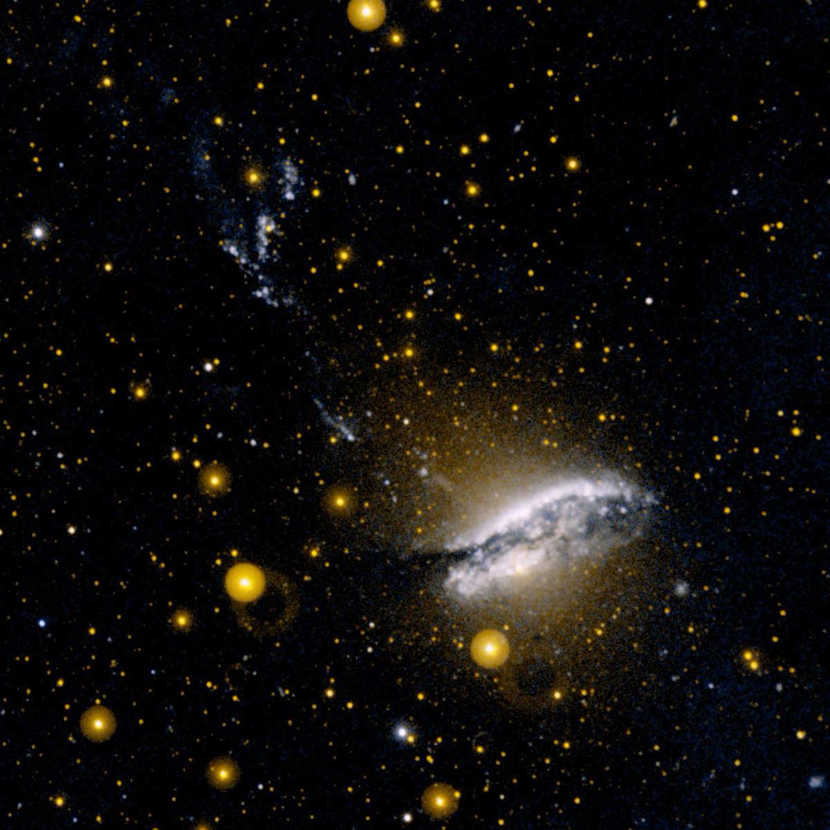 SpaceApps's tweet photo. Happy #WorldSpaceWeek!💫

To celebrate, this week's @NASA #ImageOfTheWeek features the Centaurus A, a spiral galaxy seemingly twisted into a parallelogram-shaped structure. This galaxy is believed to be the result of a collision of two normal galaxies. Credit: @NASAJPL #SpaceApps https://t.co/ziFjyivHmH