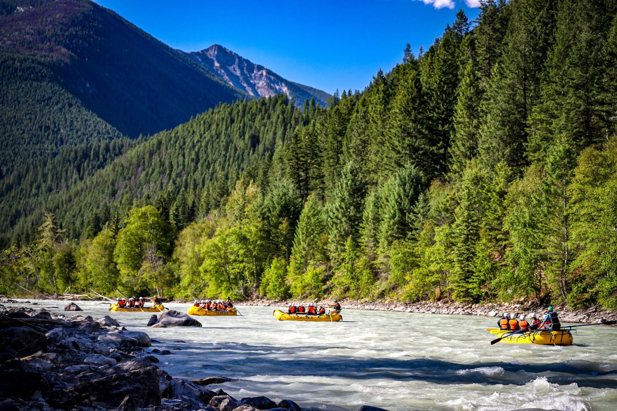 If you're looking for more fall travel resources, our third fall blog post features travel associations, directories and organizations — all representing a multitude of tourism experiences across British Columbia. 

📷: BCROA

#ExploreBC #WildernessTourismBC #ExploreWildBC