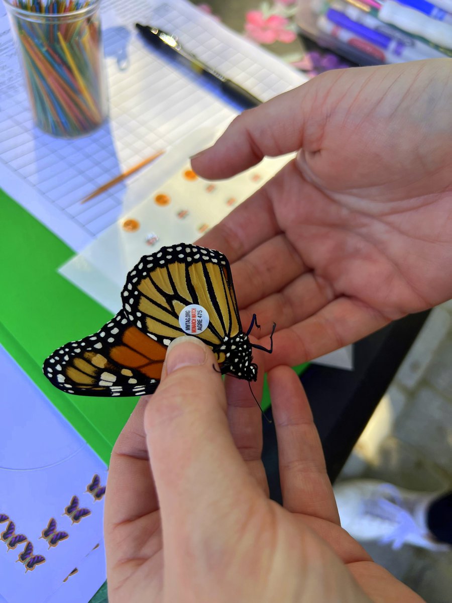 We are proud of our young volunteer's efforts to save the endangered #Monarch. For months our volunteers have worked w/ @4H to save the monarchs. Today, their efforts culminated in tagging the #butterflies as they started their migratory journey. @monarchwatch