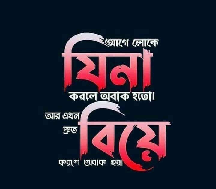 Md Shamiul alim  (@shamiulzahid) on Twitter photo 