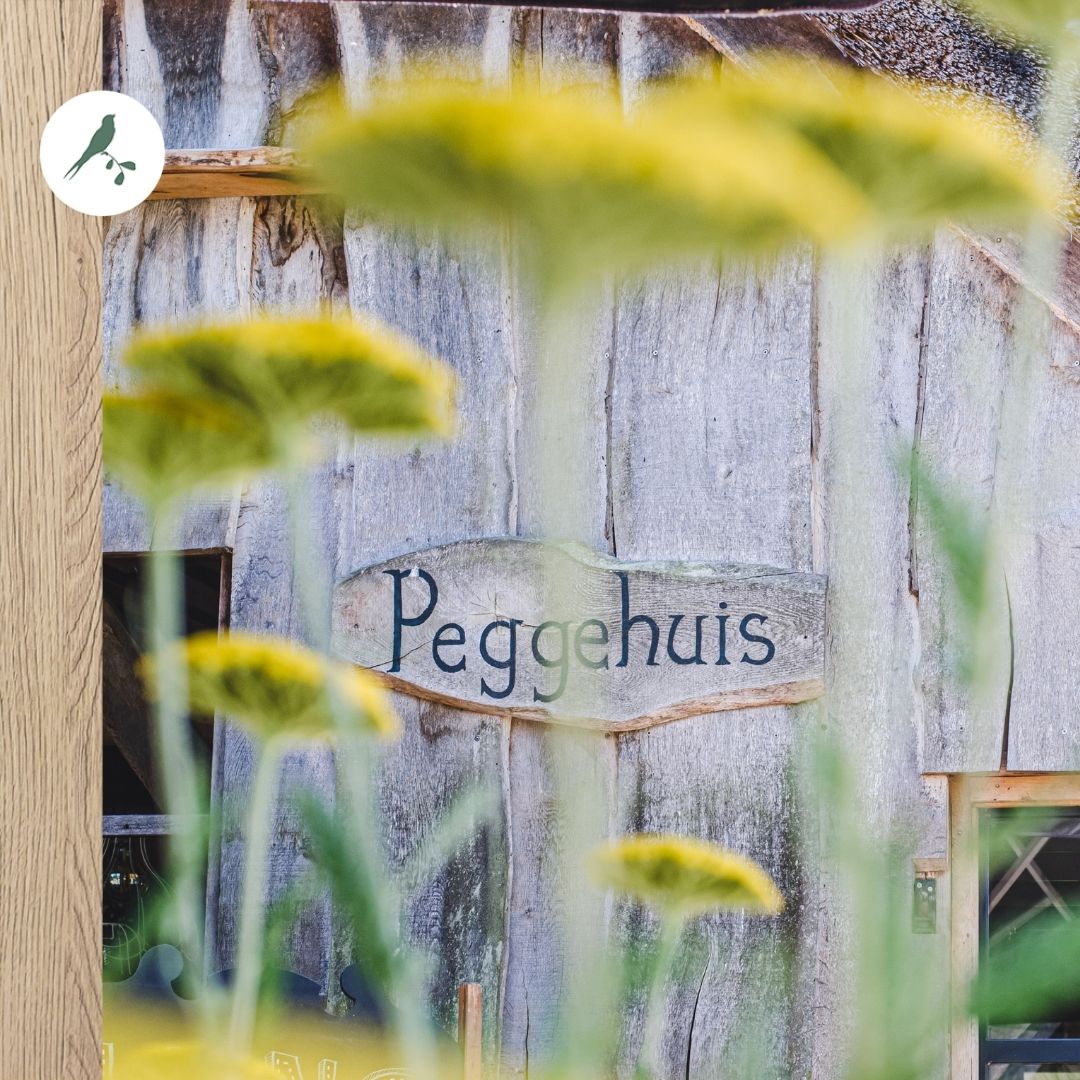 de Kleine Wildenberg tweet media