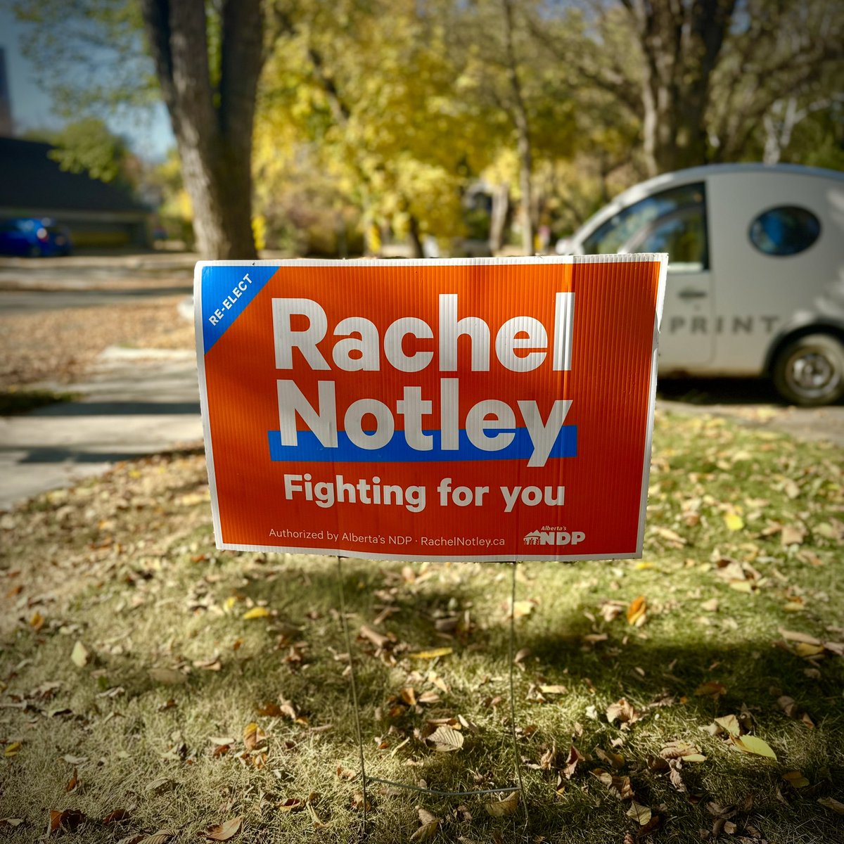 The fall colours over at Corporate HQ are looking particularly spectacular this morning. #ableg