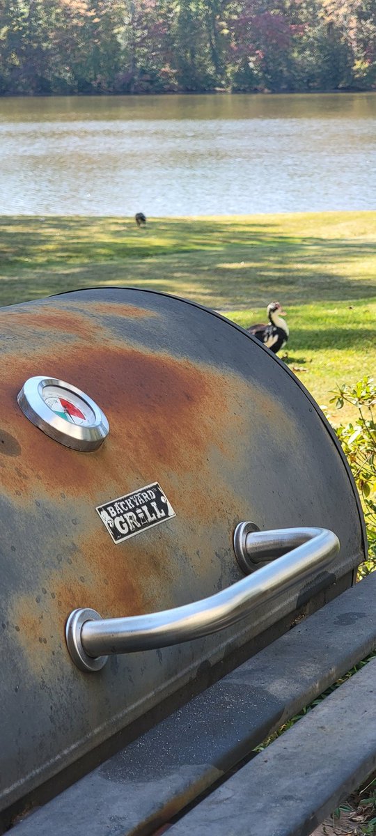 HawkkRico's tweet photo. #THETA .๐๐ฆ๐ฆ๐ฆ
#BACKYARDBLUES https://t.co/ARWtxCH11s