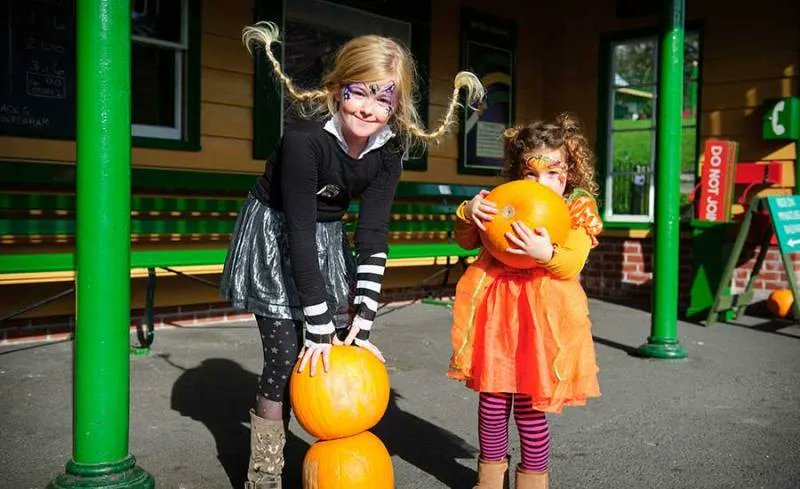 Watercress_Line's tweet photo. We have lots of spooky activities to keep the kids entertained over the #Halloween #halfterm as our spook-tacular #WizardWeek returns!
Tickets are available now and selling fast, don't miss out - https://t.co/JA3Gygcy5L
@King_Alf @VisitHampshire @HantsTopDaysOut https://t.co/WRd2SnfYLC