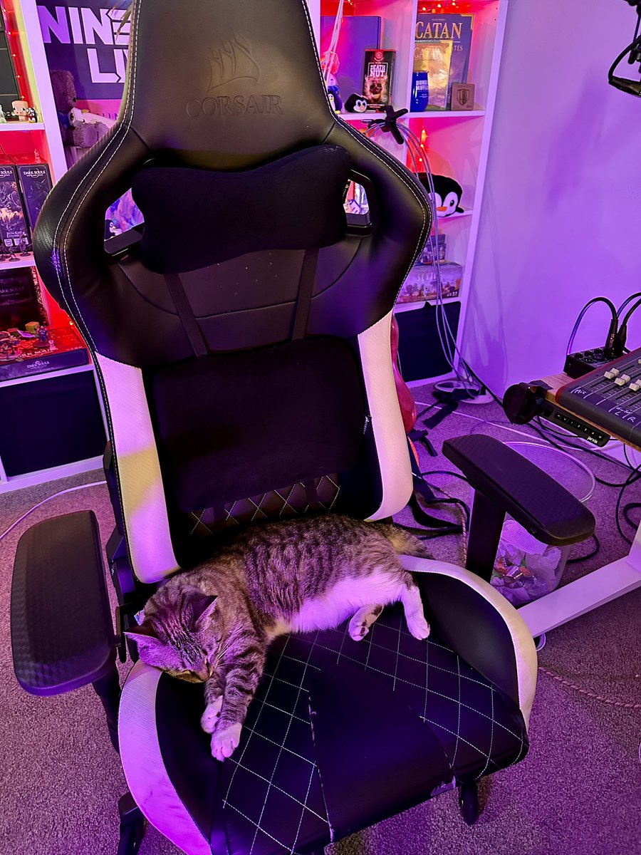 Darkosto tweet media