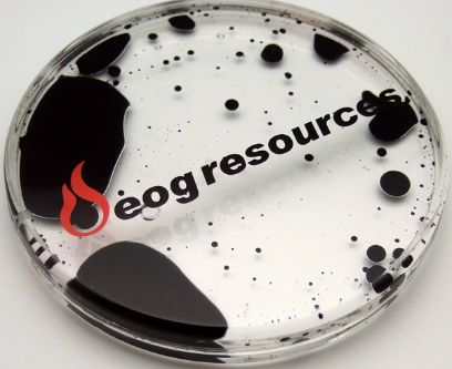 #FridayFun Cool liquid roller coasters, #custom filled coasters, #brand builder coasters and more

ow.ly/briG50L10qa
promoteyourbusiness.espwebsite.com/ProductResults…