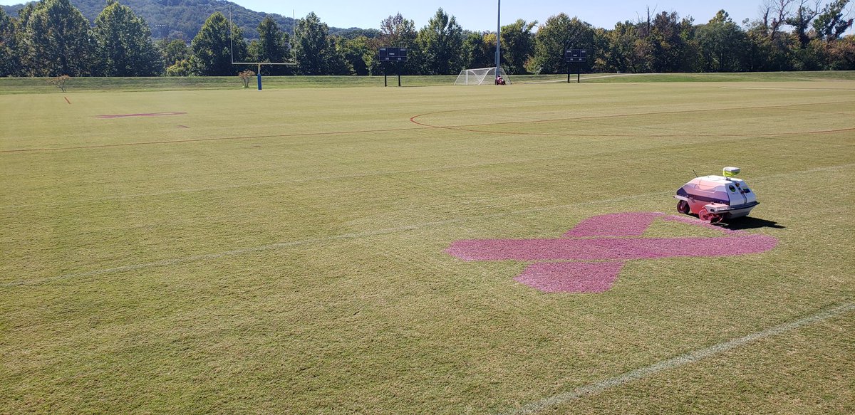 Will Cole CTP tweet media